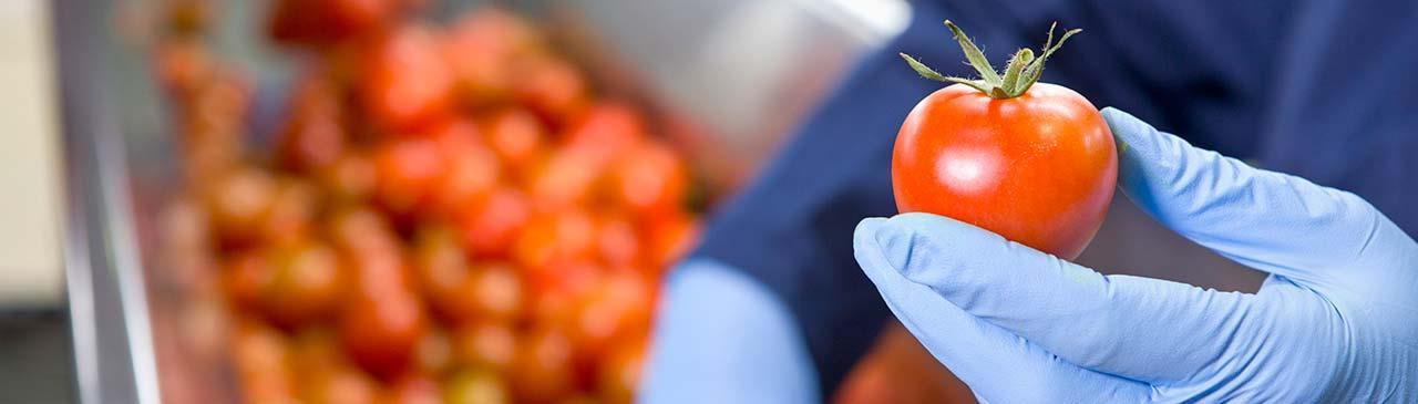 ISO 22000 Food Safety